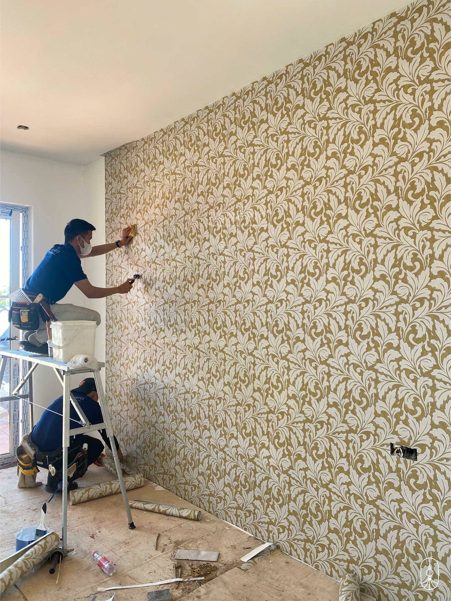 Bonario Việt Nam 8