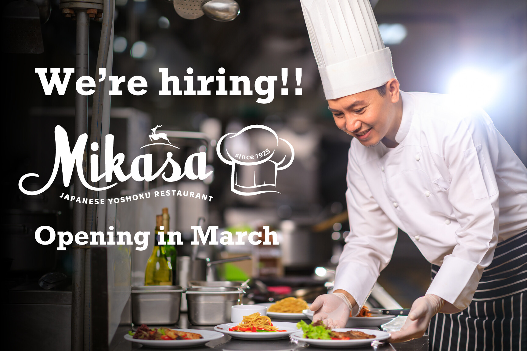 MIKASAKAIKAN VIETNAM 2