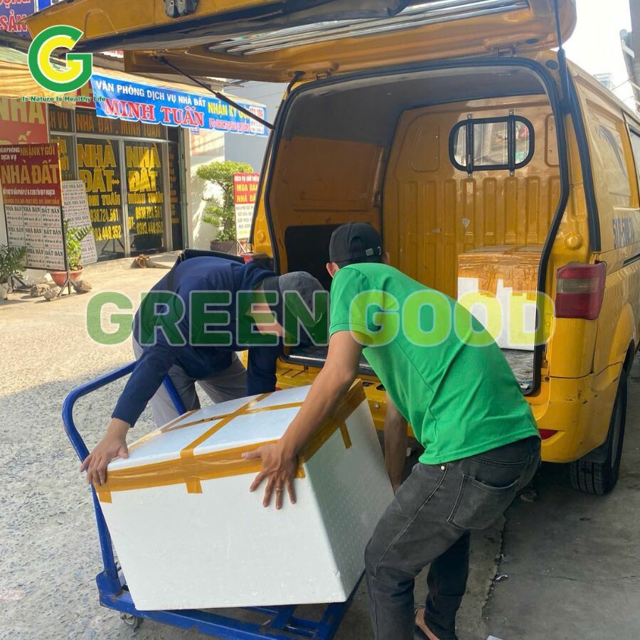 THỰC PHẨM GREENGOOD 13