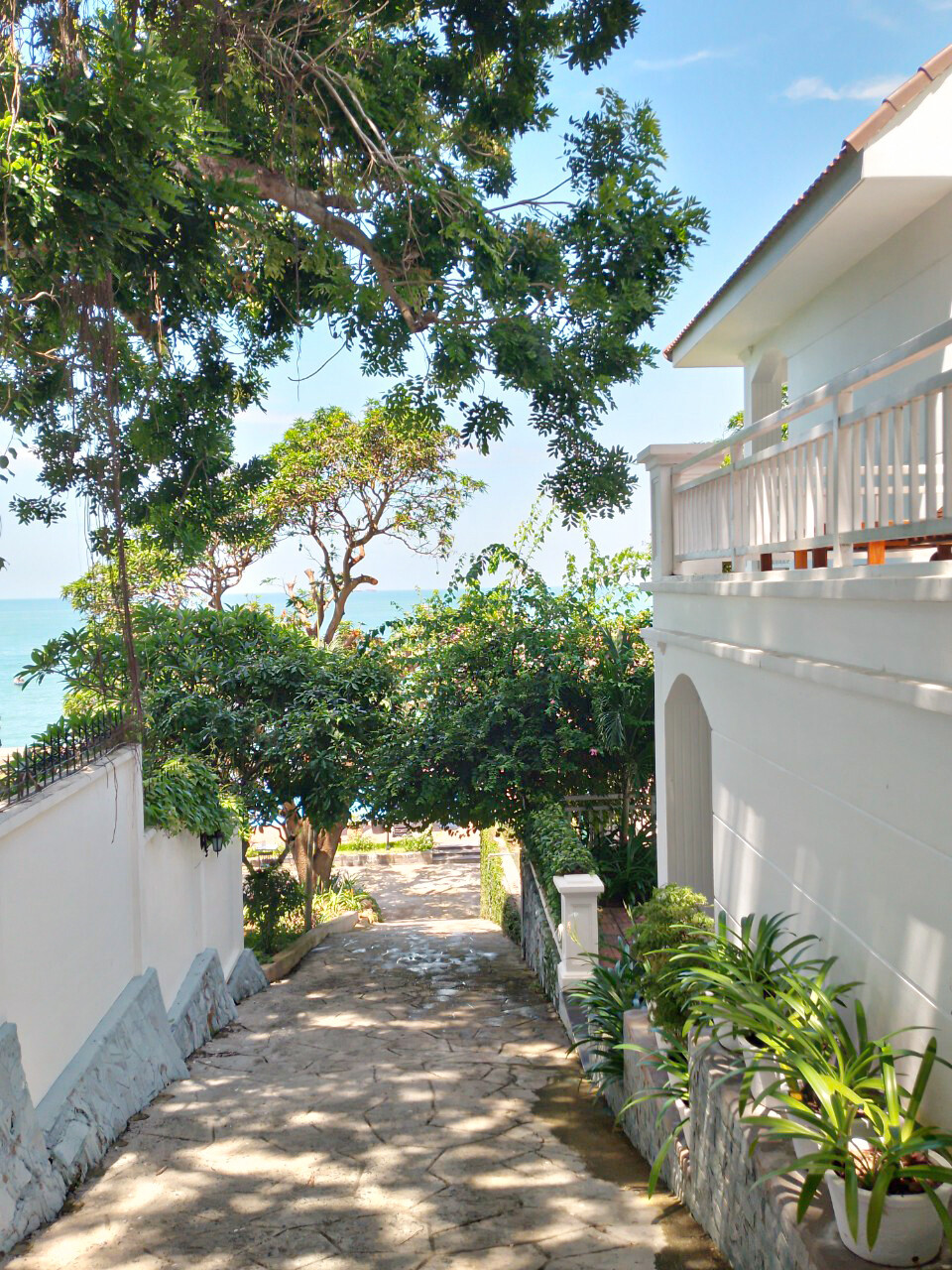 SV Boutique Resort 3