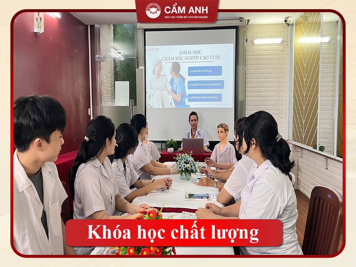 Thương Mại Dịch Vụ CẨM ANH 6