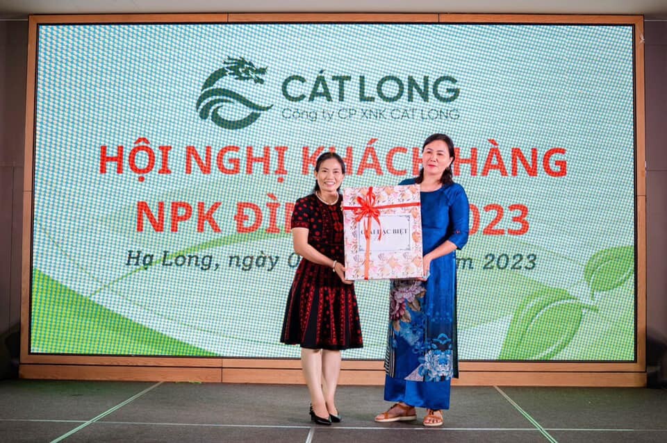 XUẤT NHẬP KHẨU CÁT LONG 3