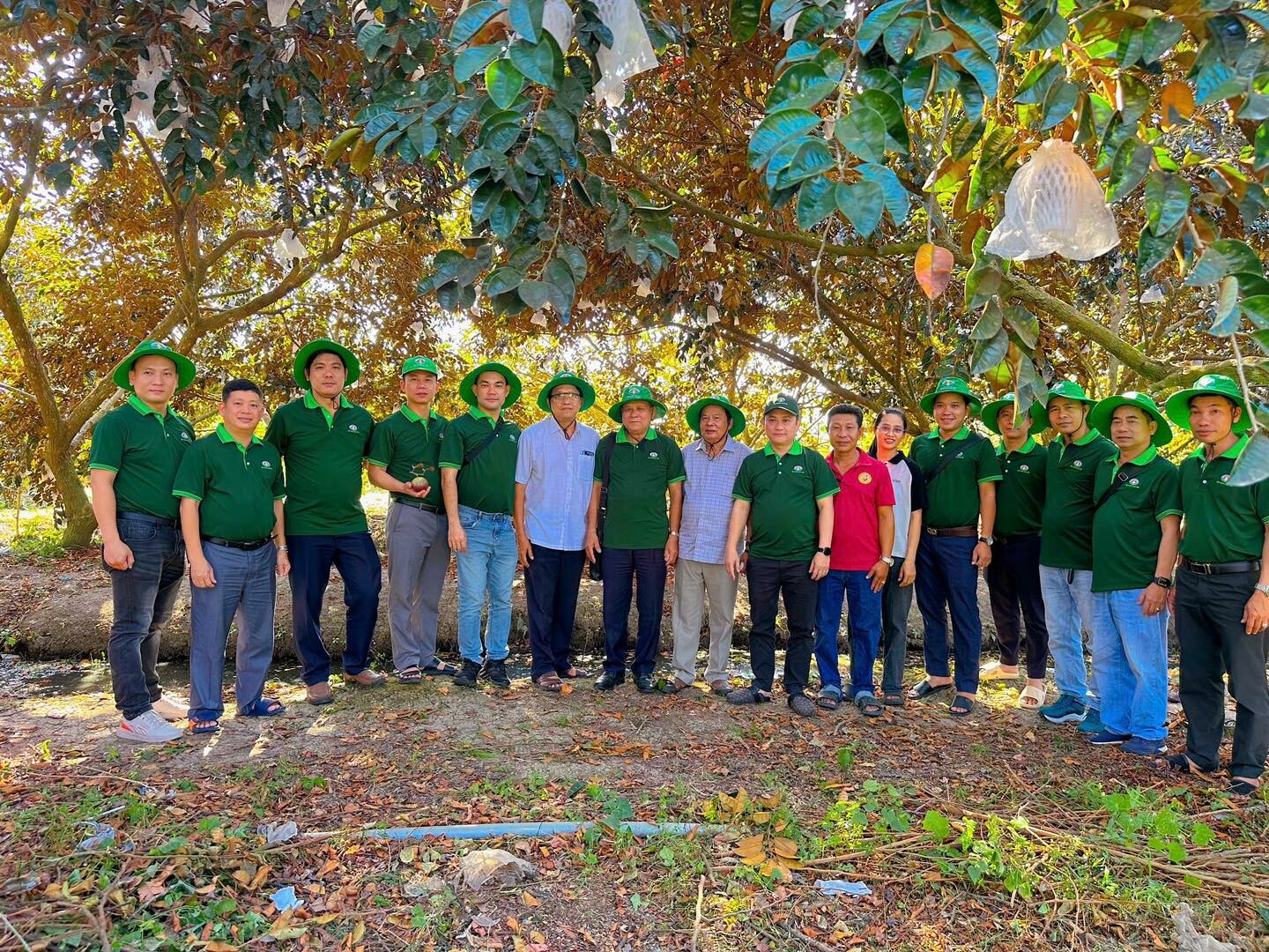 Tập Đoàn Quế Lâm 4