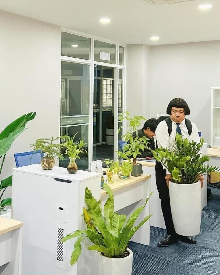 MỸ PHẨM QUỐC TẾ OME 6