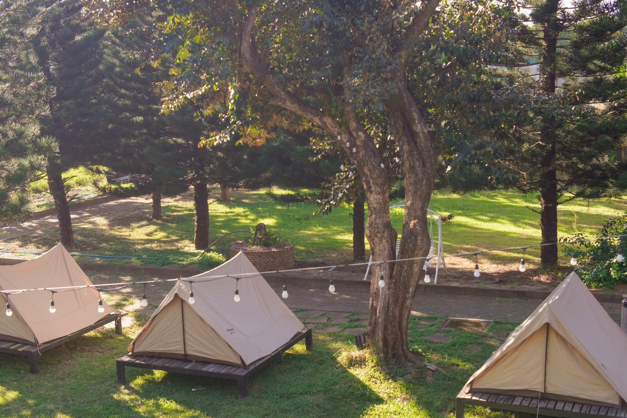 Đầu Tư Du Lịch Trung Nguyên Healing 6