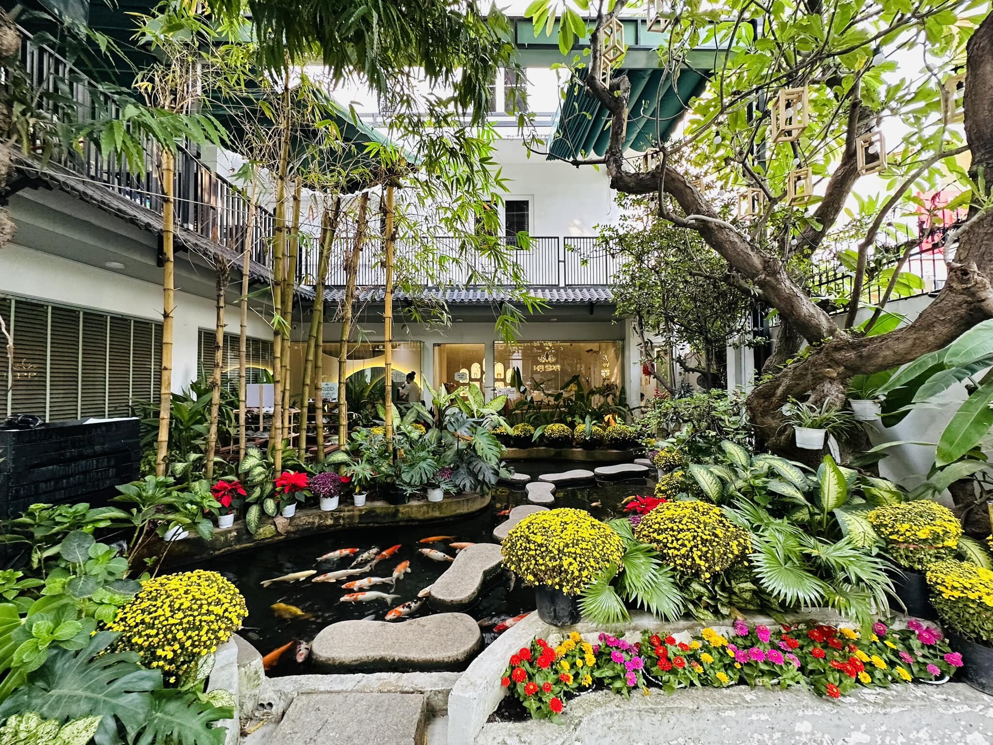 Hạ Spa Dưỡng Sinh 12