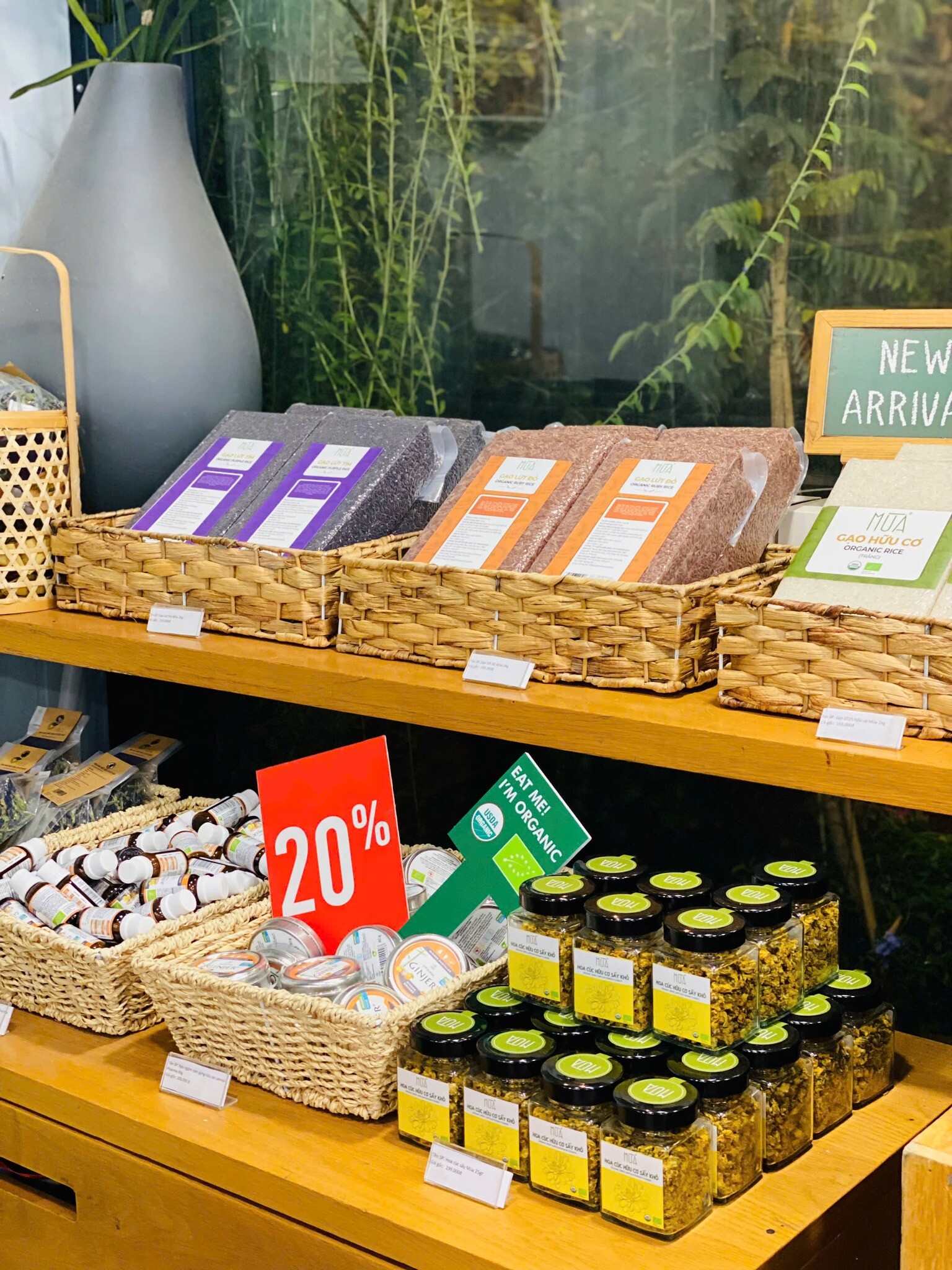 ORGANICA INVESTMENT JSC 6