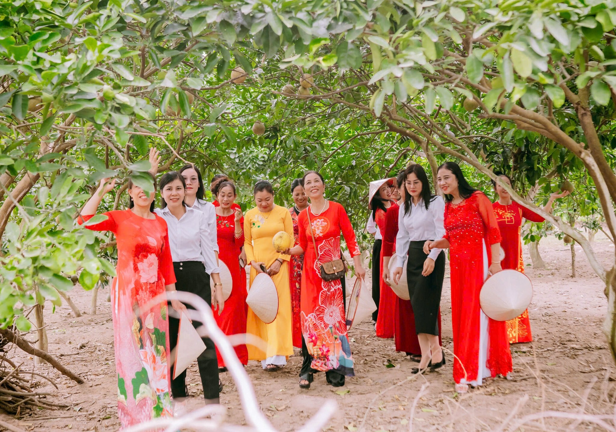 Tổ chức Tài chính vi mô TNHH Một thành viên Tình Thương 13