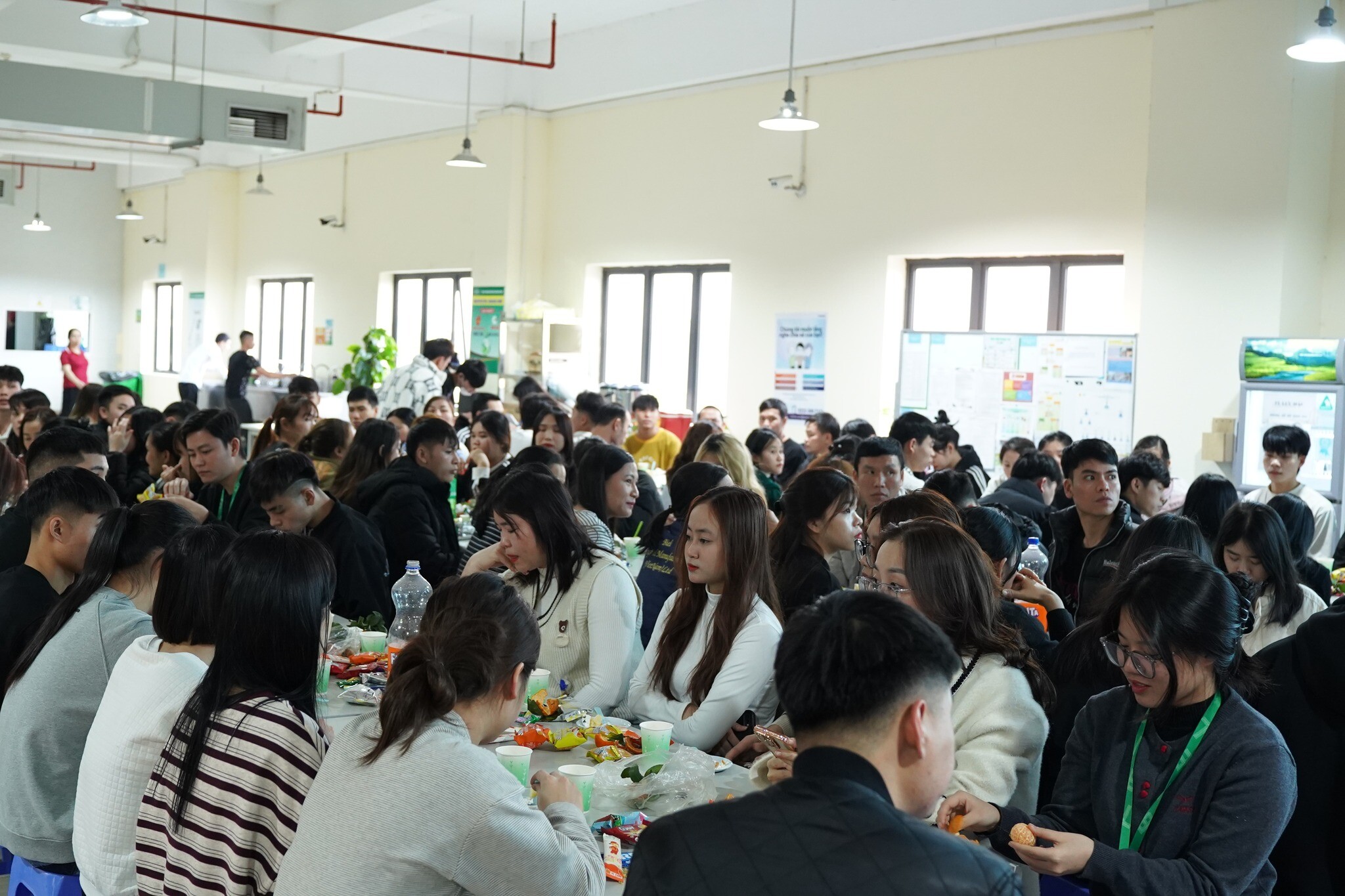 Sản Xuất Biel Crystal 10