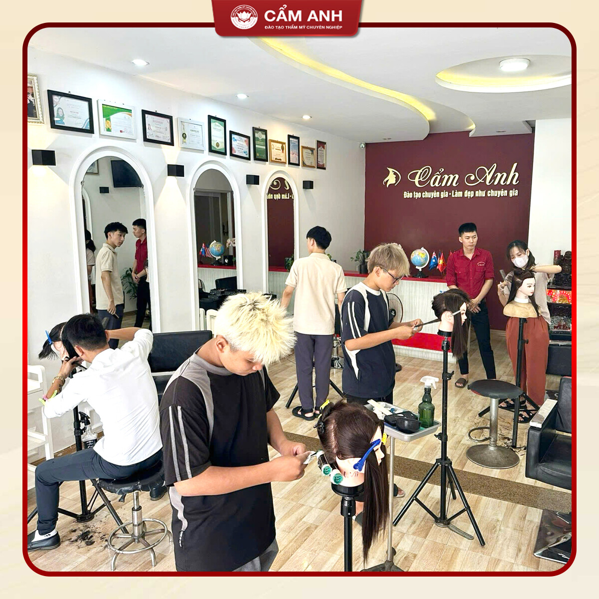 Thương Mại Dịch Vụ CẨM ANH 12