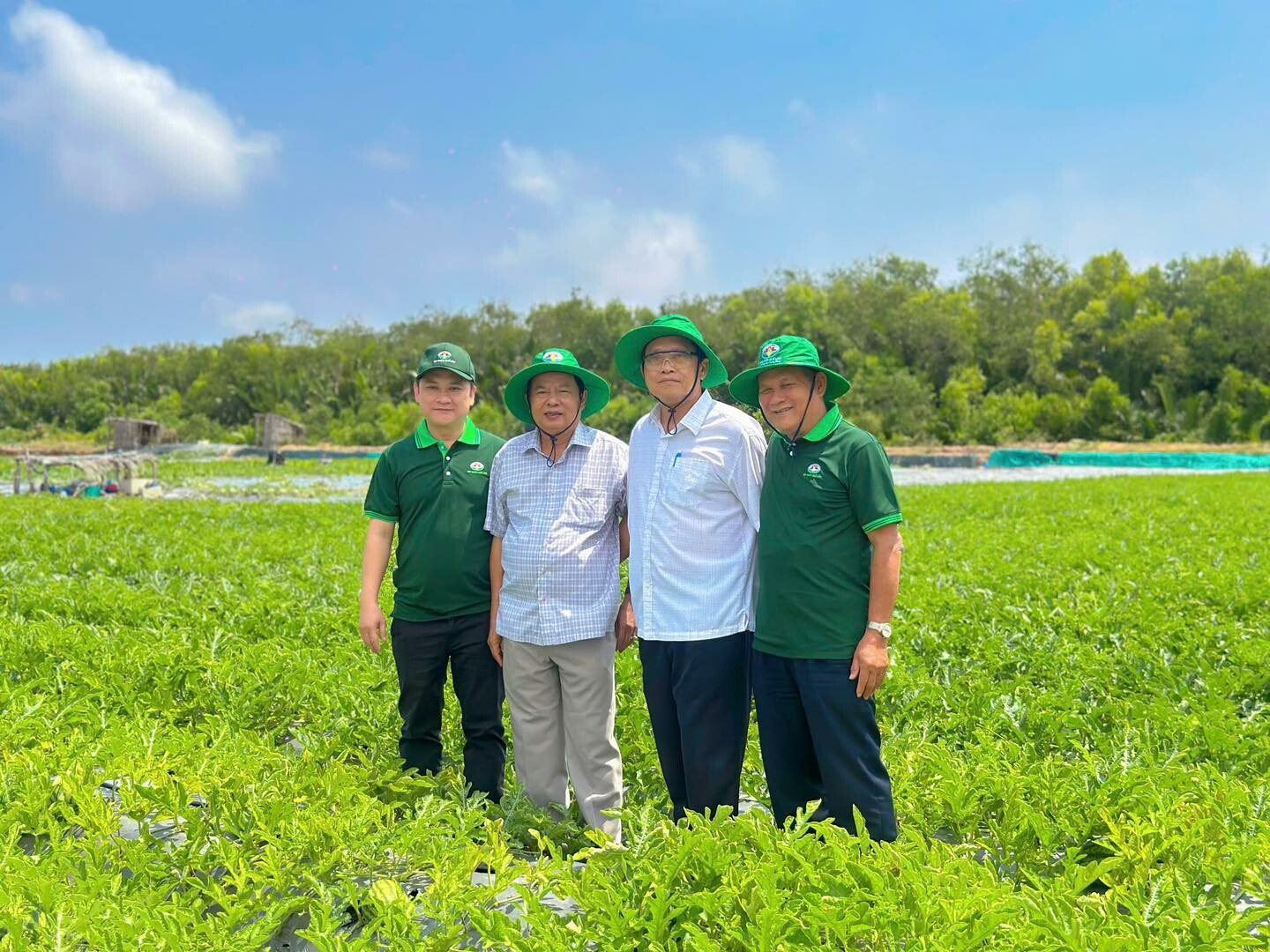 Tập Đoàn Quế Lâm 3