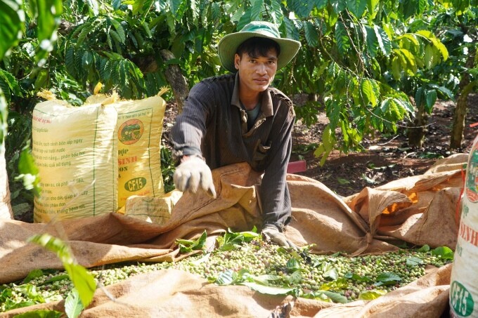 XUẤT NHẬP KHẨU FUTURE FARM 7