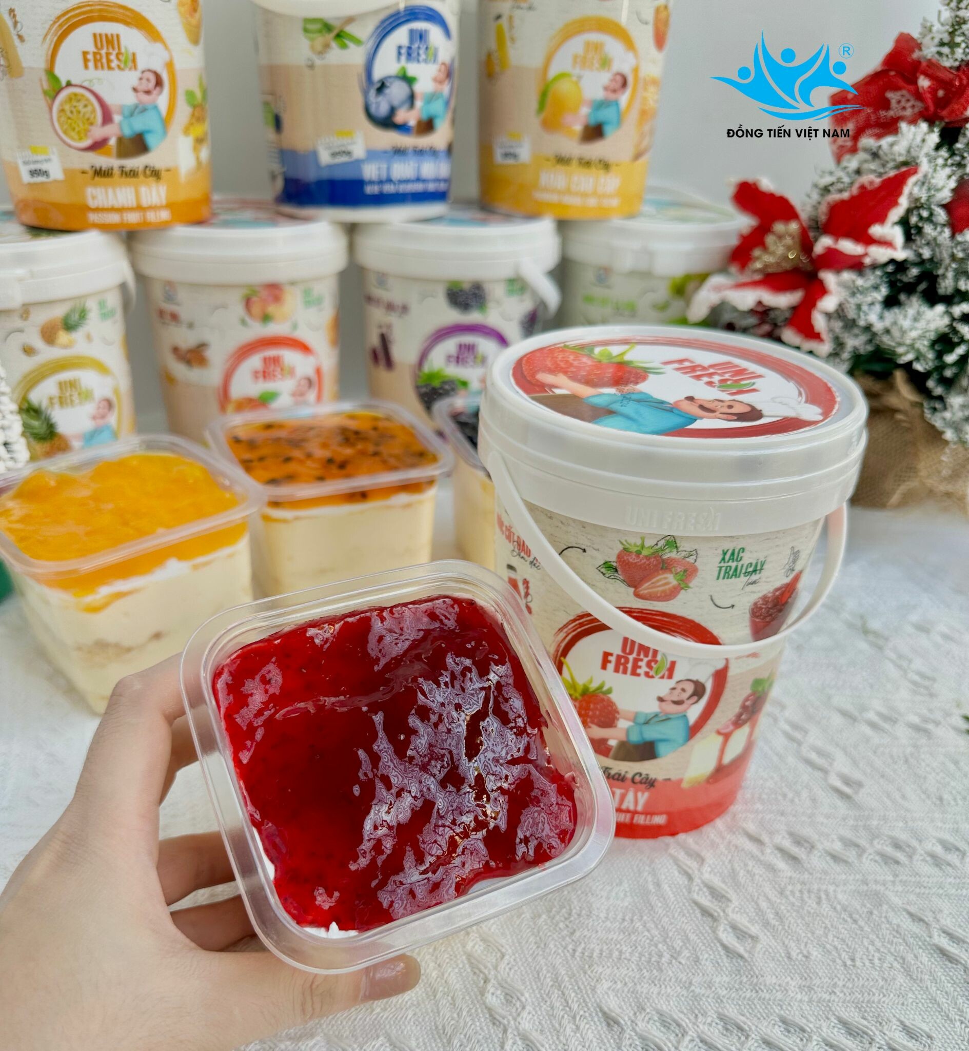 ĐỒNG TIẾN VIỆT NAM 1