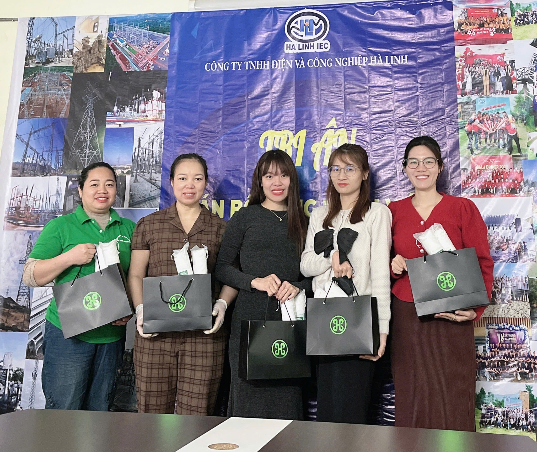 Điện Và Công Nghiệp Hà Linh 11