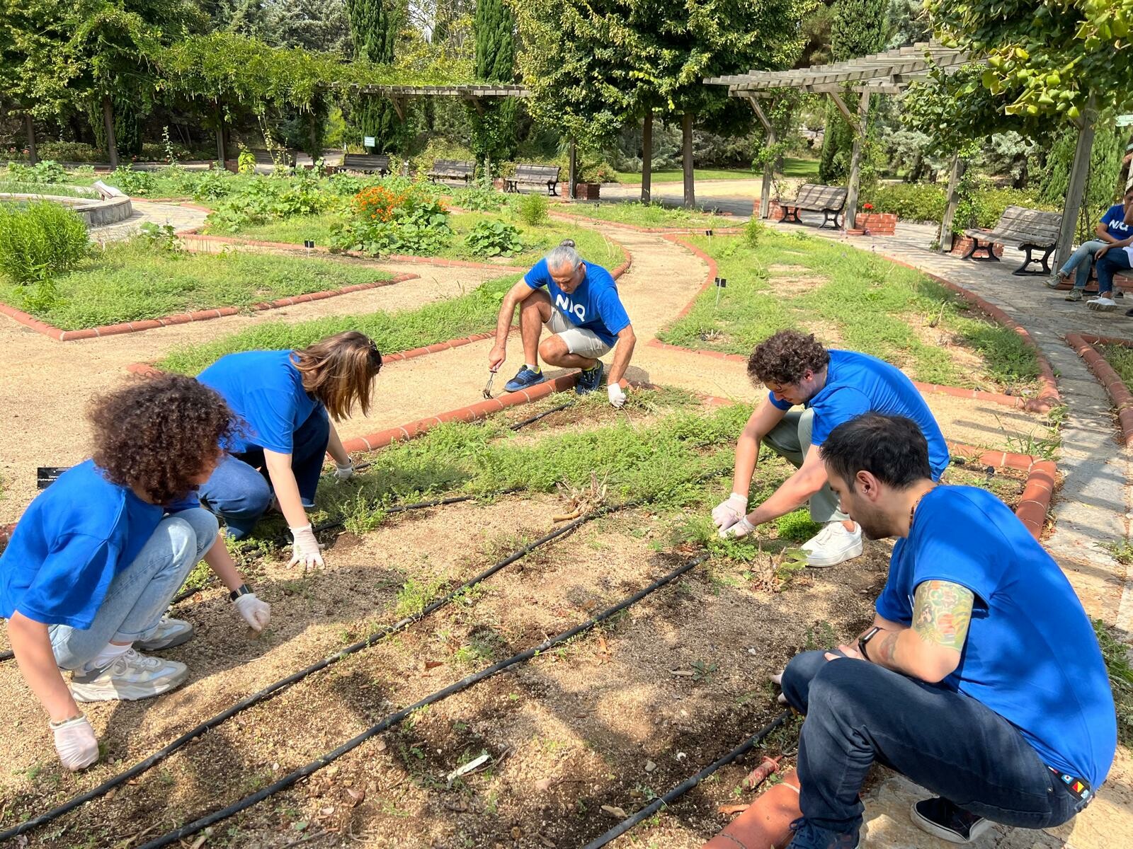 GfK Boutique Research 2