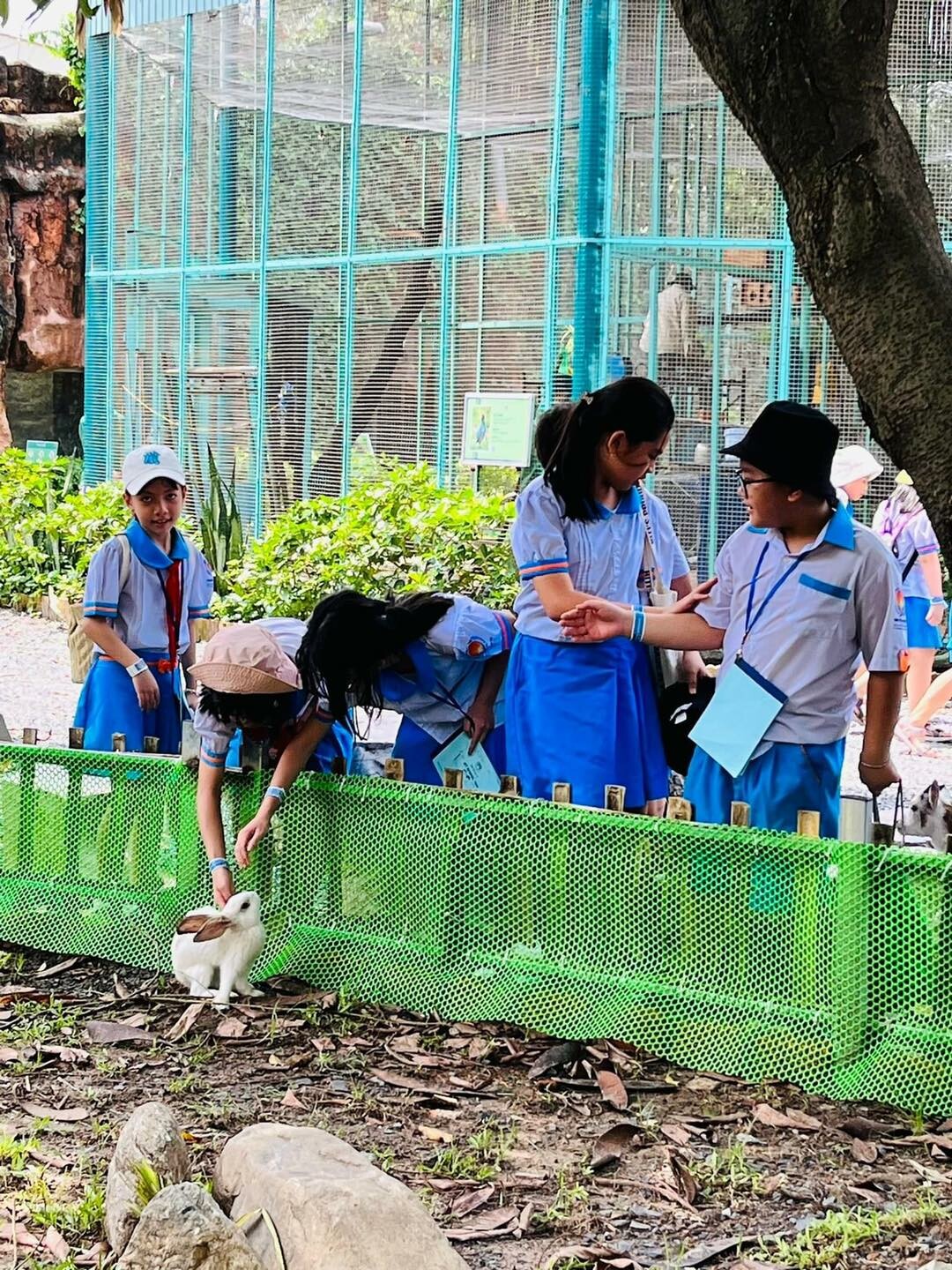 TRƯỜNG TIỂU HỌC TƯ THỤC NHỰT TÂN 7