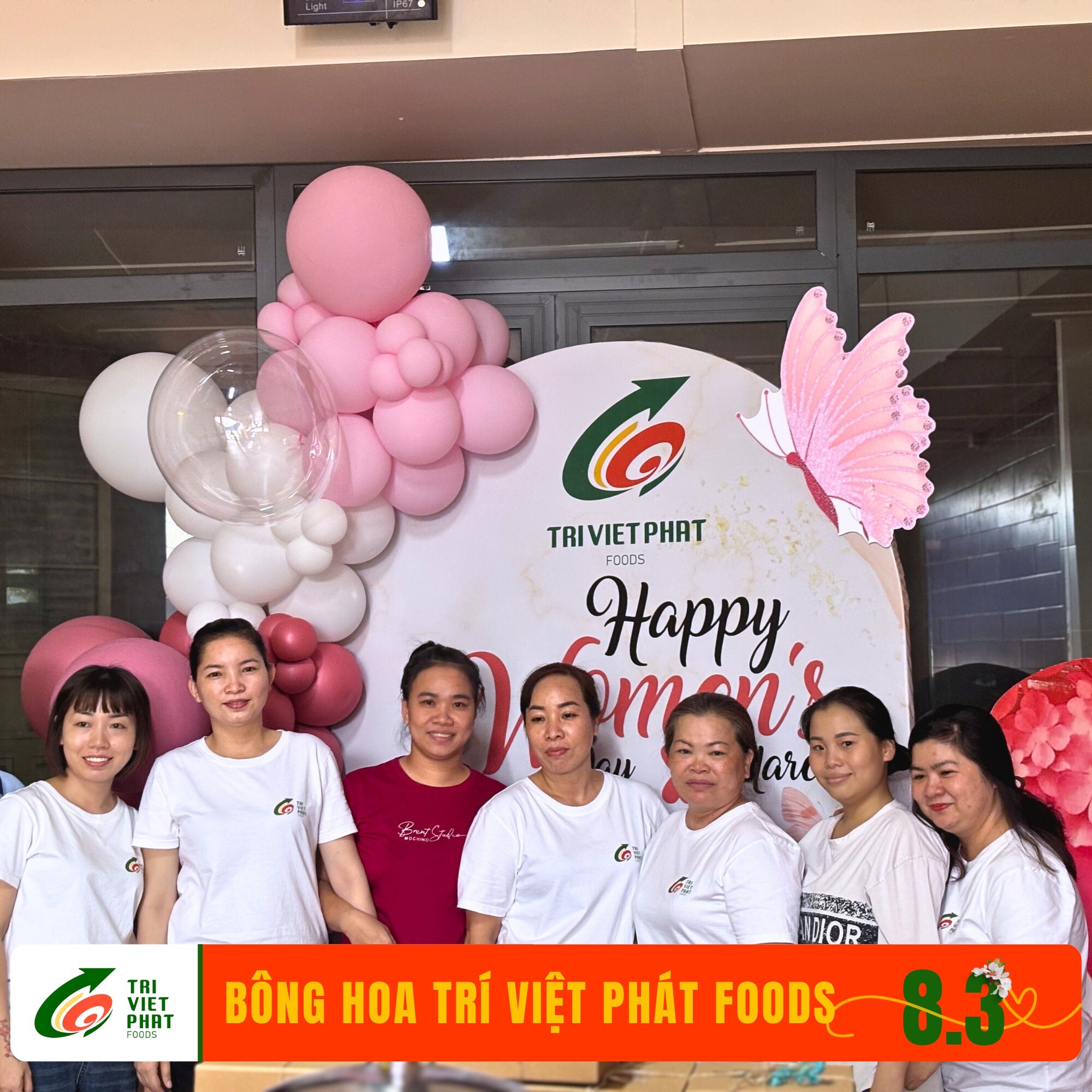 Thương Mại Dịch Vụ Và Sản Xuất Trí Việt Phát 2