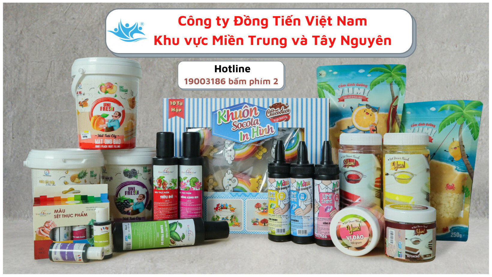 ĐỒNG TIẾN VIỆT NAM 11