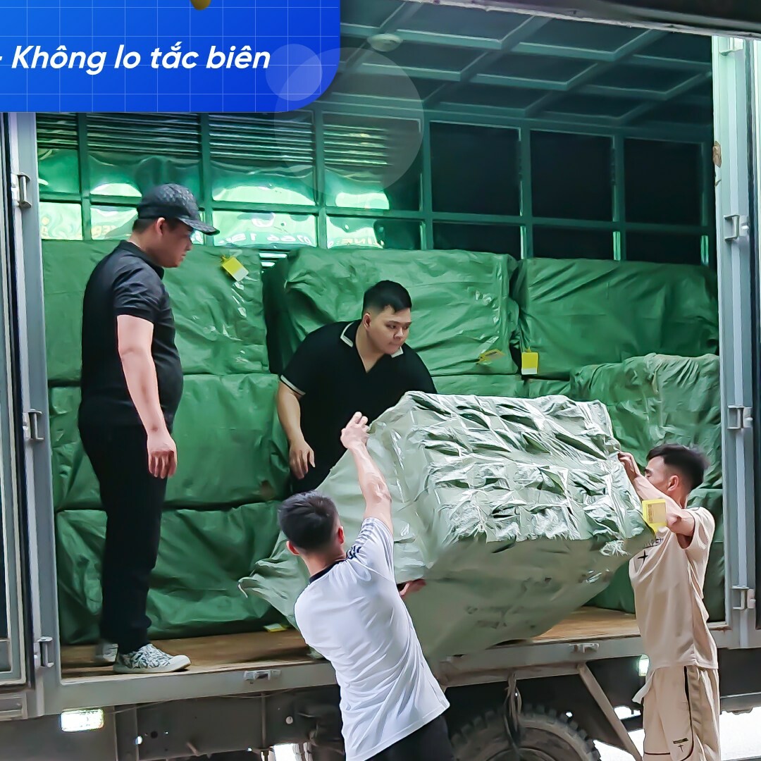 Xuất Nhập Khẩu Phương Khang 2