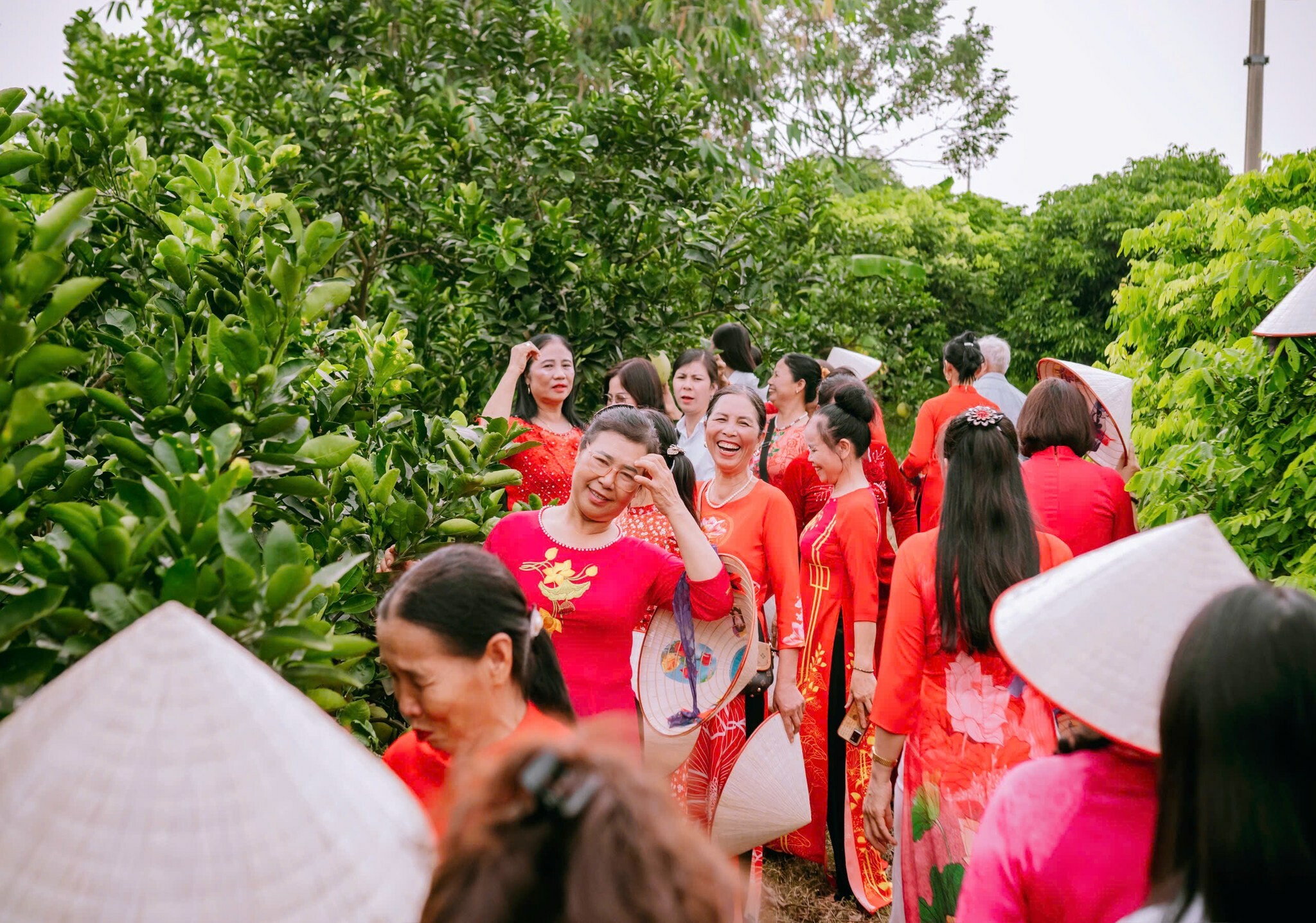 Tổ chức Tài chính vi mô TNHH Một thành viên Tình Thương 12