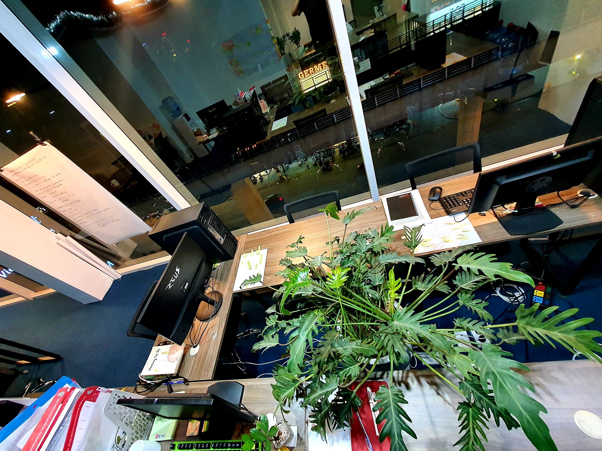 Human Solutions Việt Nam 7