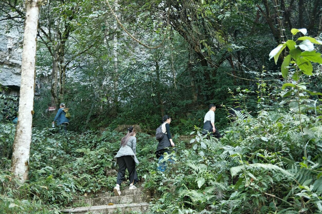 Senna Wellness Retreat 13