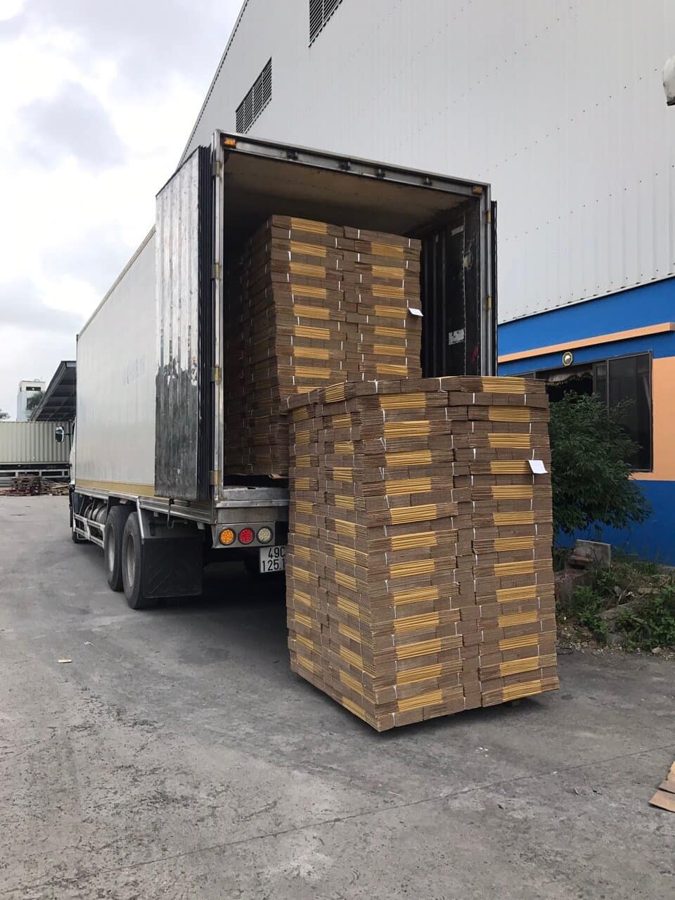 Bao Bì Tân Thành Đạt 7