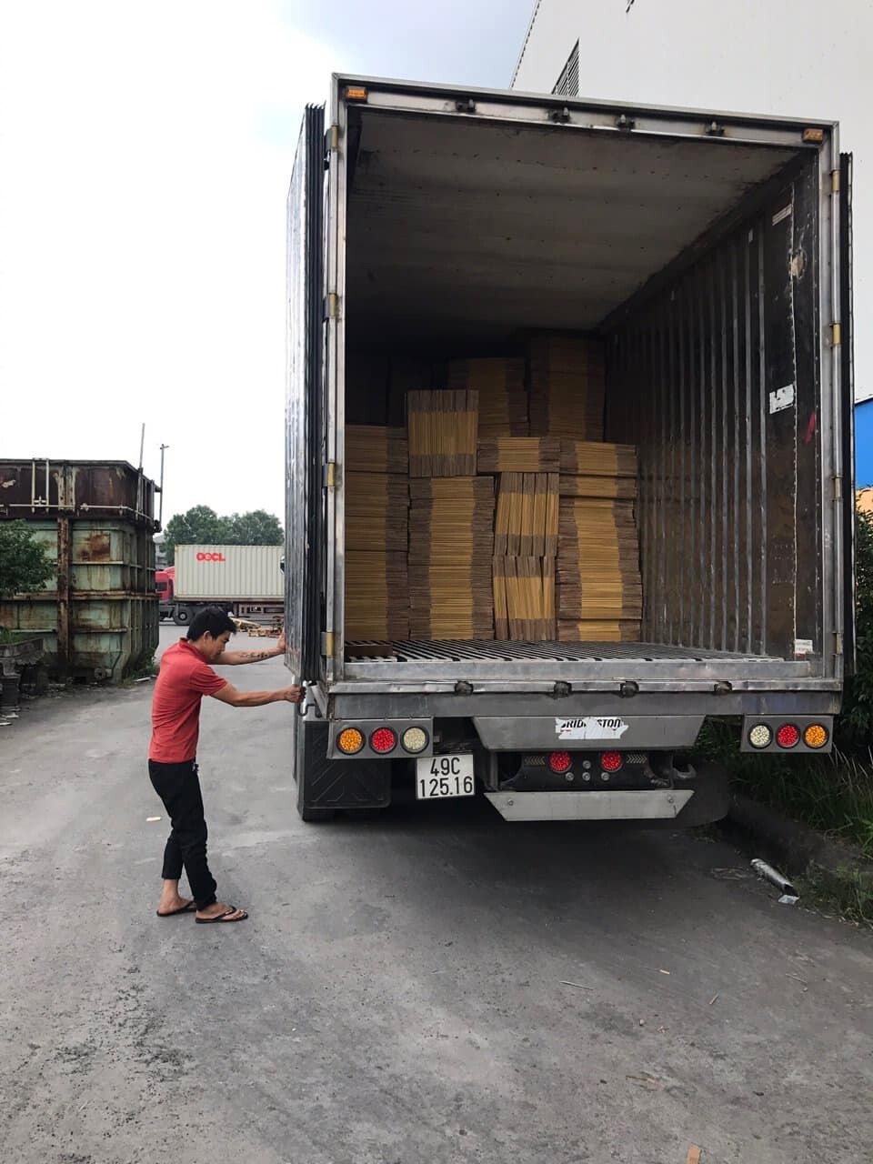 Bao Bì Tân Thành Đạt 6