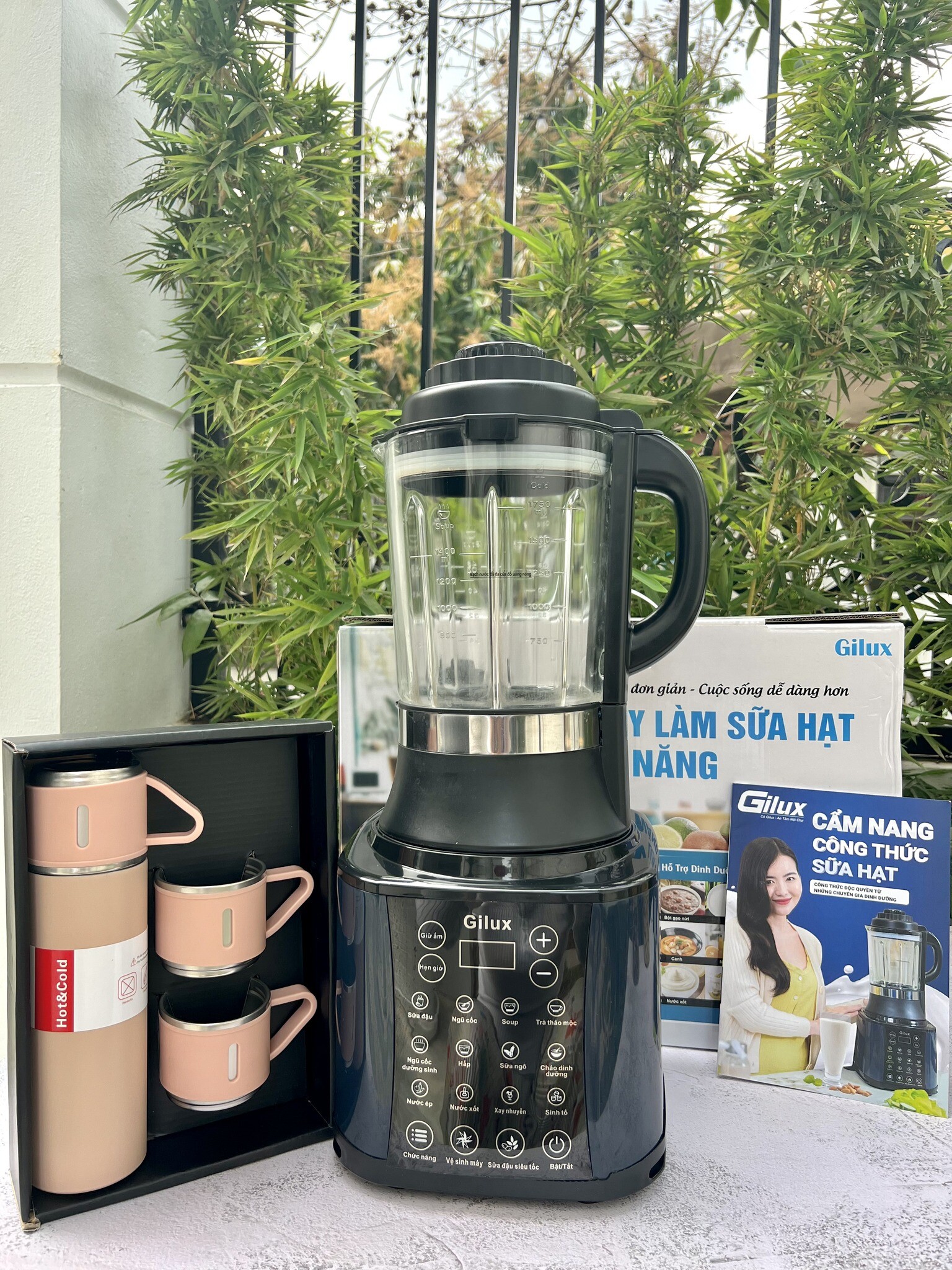 DANIS GROUP - Gilux 6