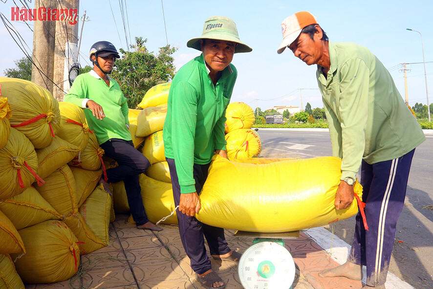 XUẤT NHẬP KHẨU FUTURE FARM 11