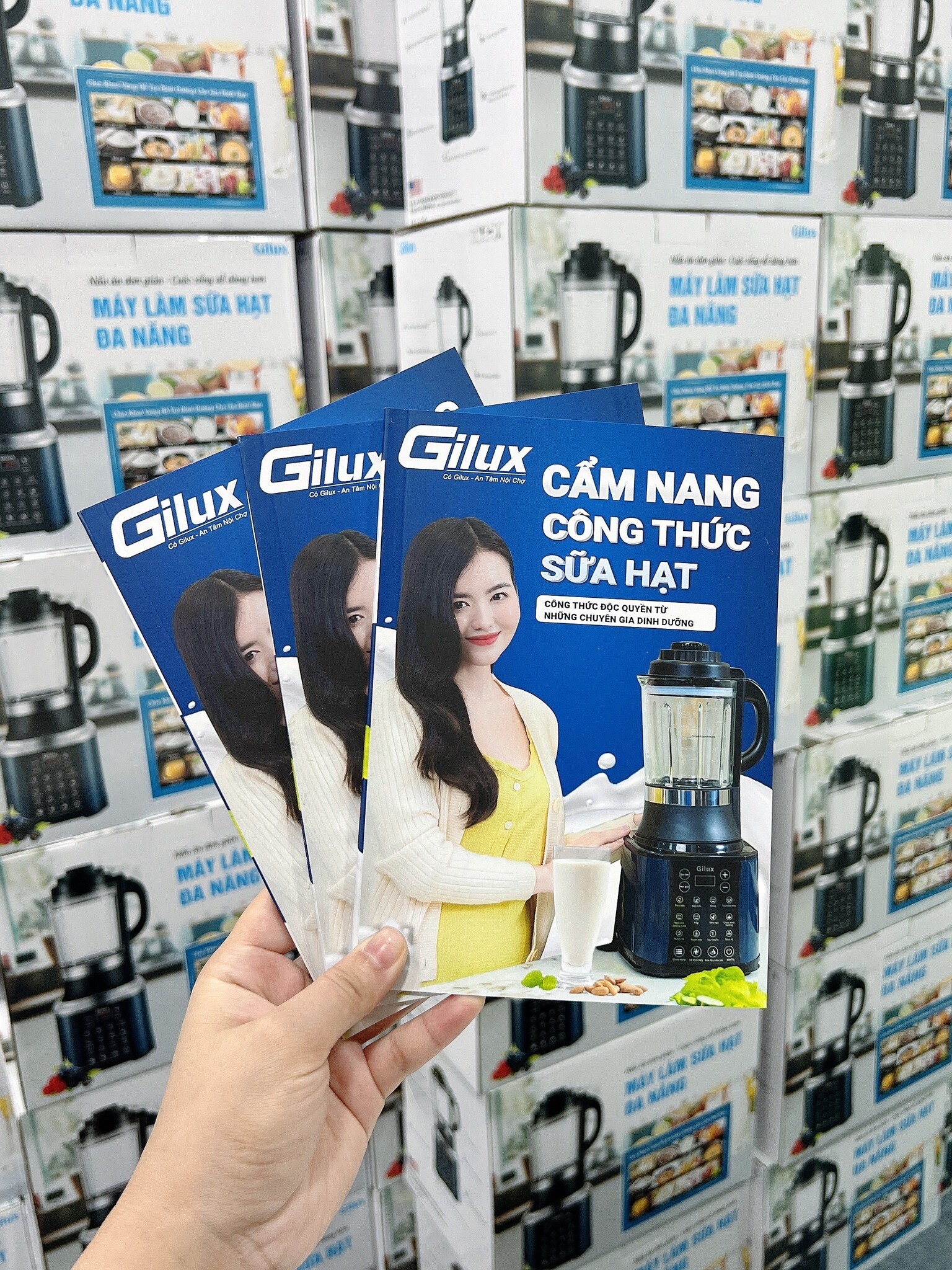 DANIS GROUP - Gilux 7