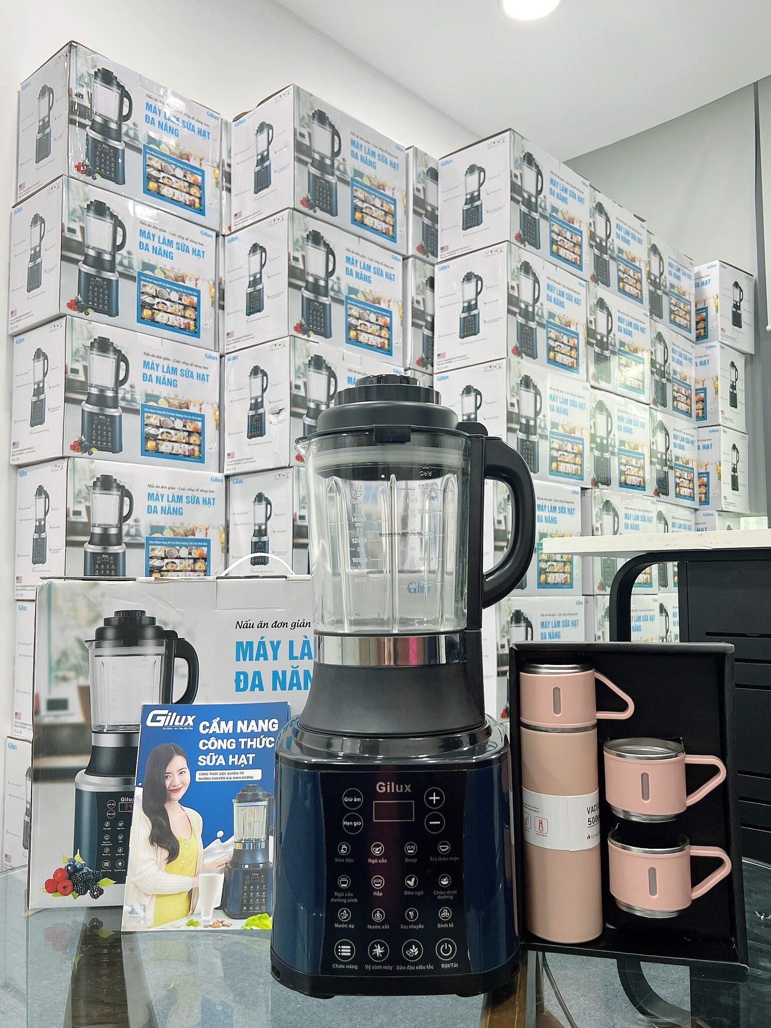 DANIS GROUP - Gilux 8