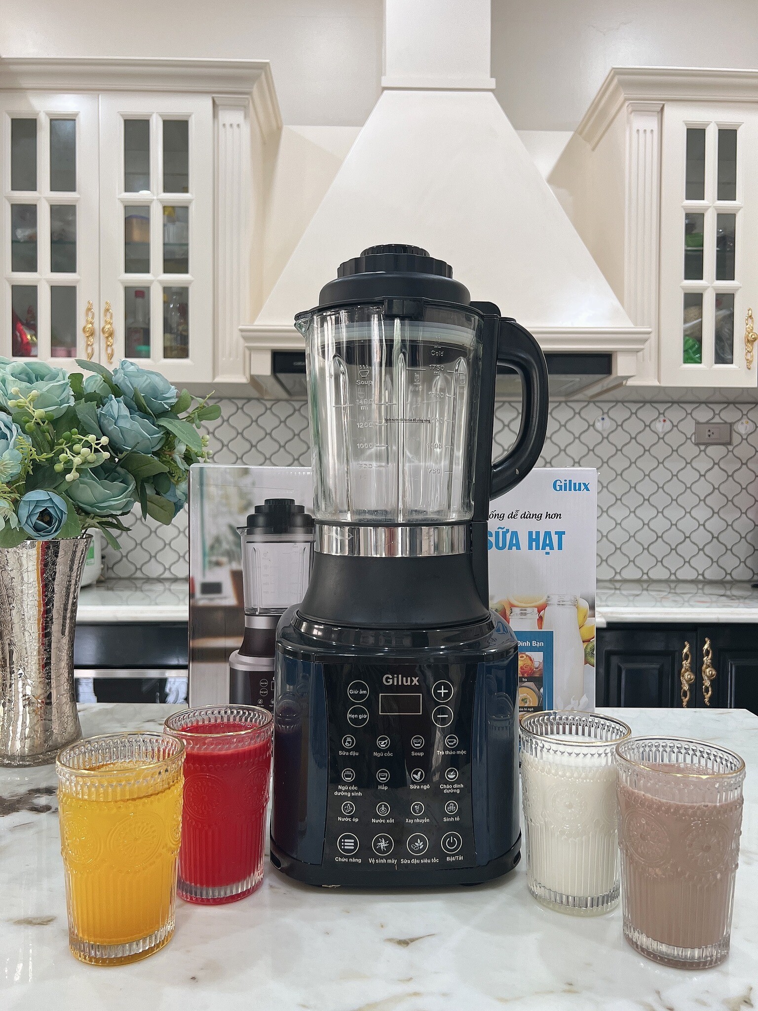 DANIS GROUP - Gilux 4