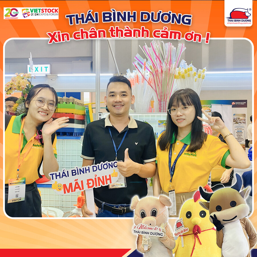 DV SX THÁI BÌNH DƯƠNG 3