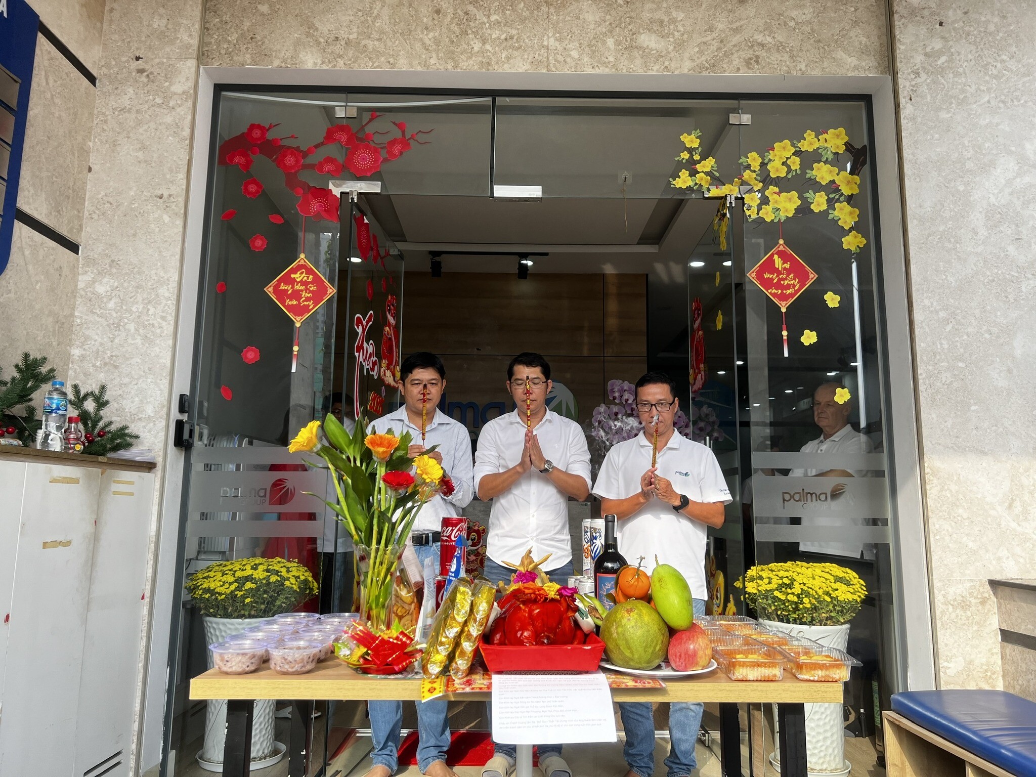 Giải Pháp Palma 6