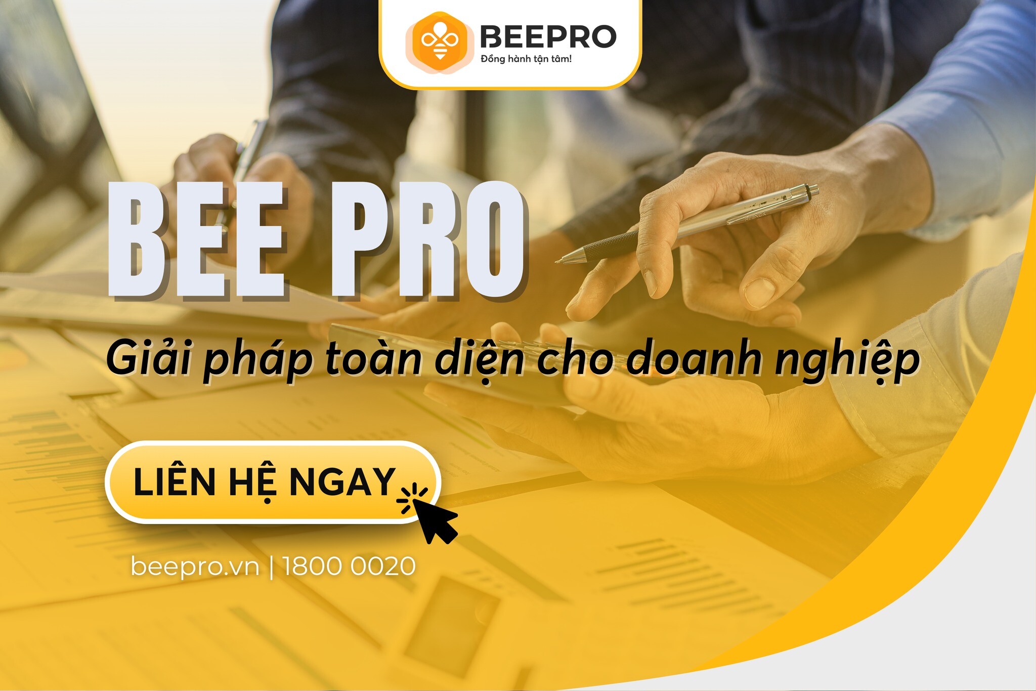 DỊCH VỤ KẾ TOÁN QUỐC TẾ BEE PRO 1