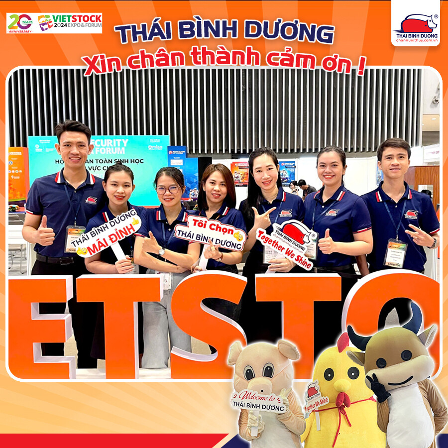 DV SX THÁI BÌNH DƯƠNG 9