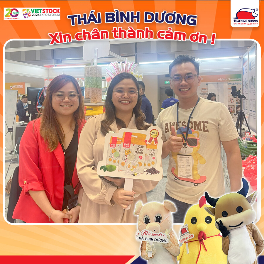 DV SX THÁI BÌNH DƯƠNG 6