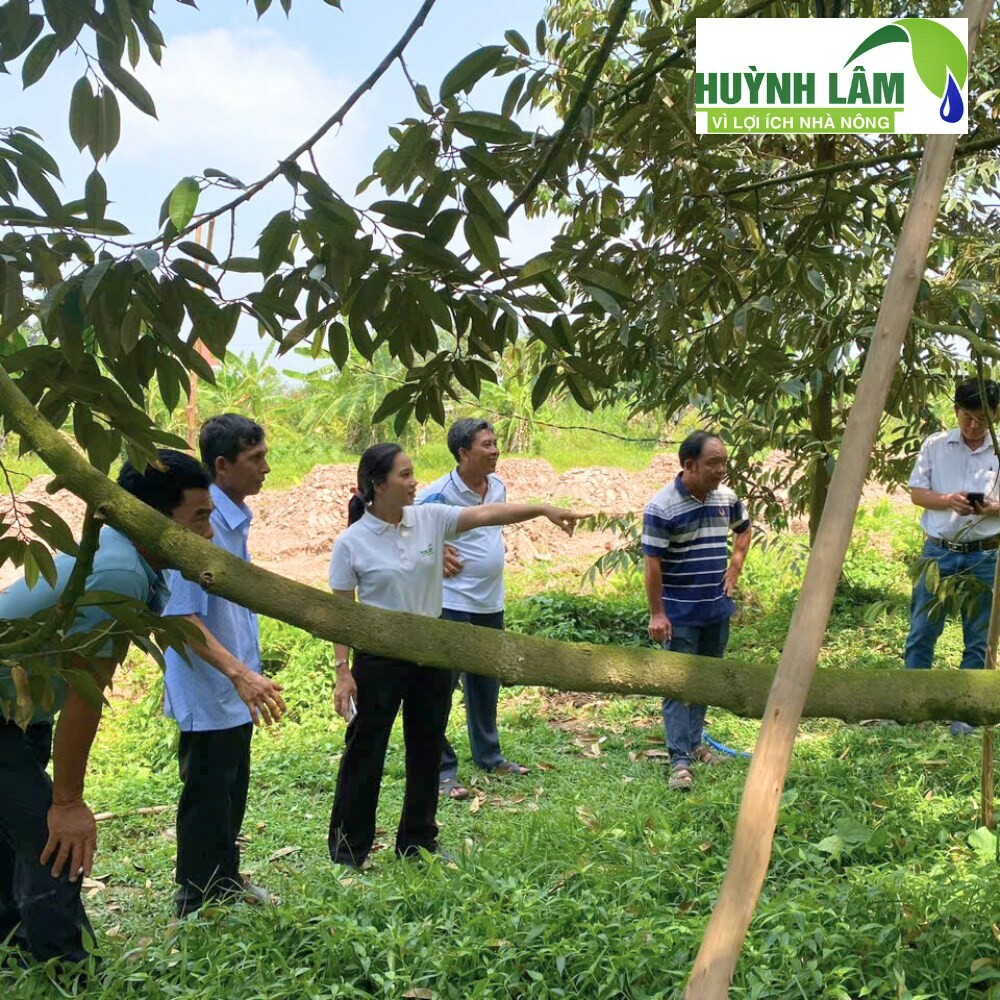 Phân Bón Huỳnh Lâm 9