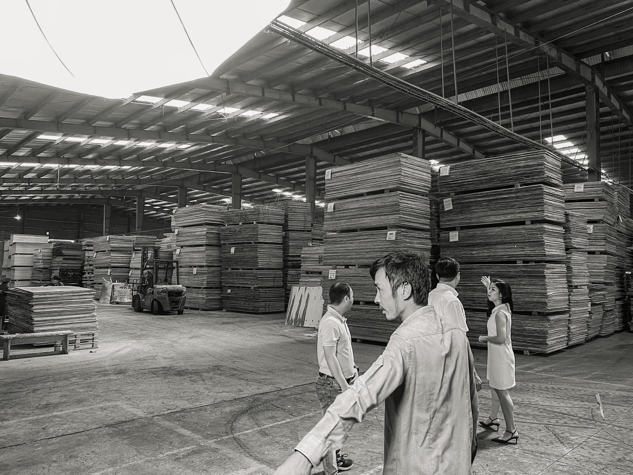 CÔNG TY CP GỖ QUẢNG PHÁT 8