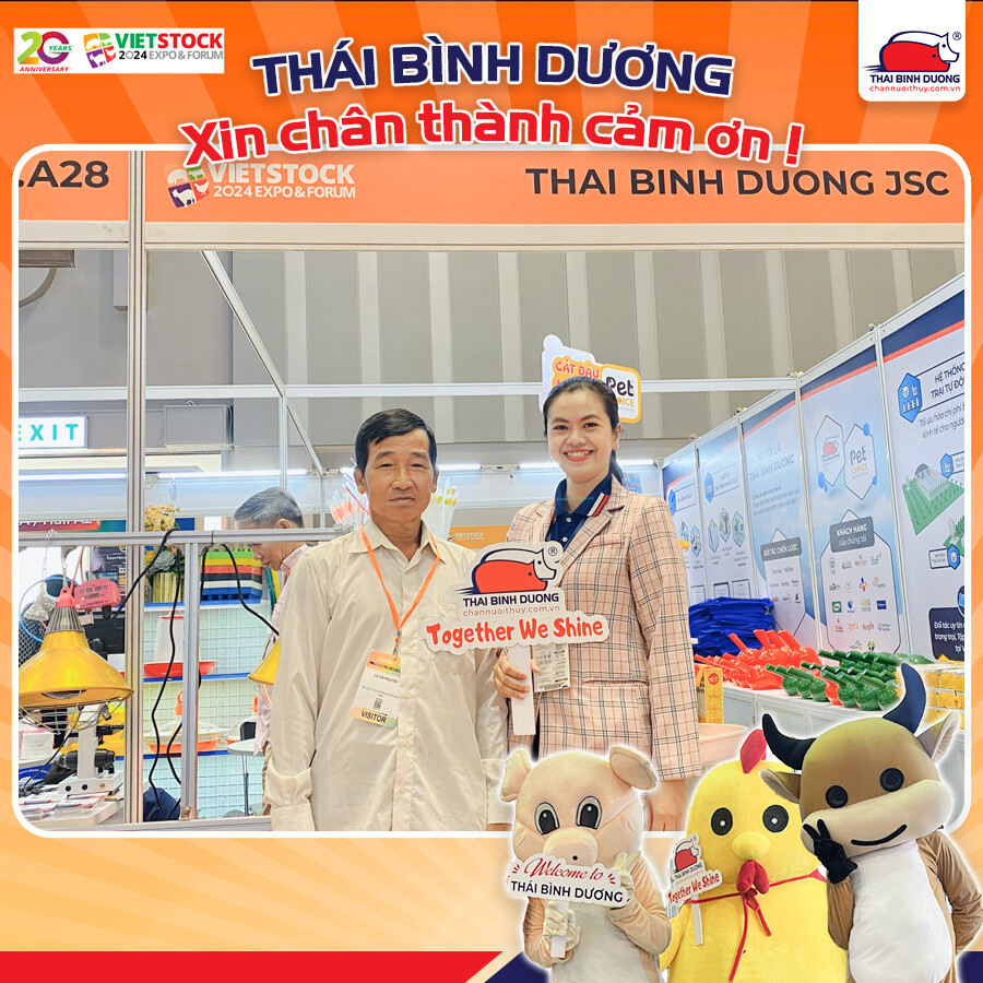 DV SX THÁI BÌNH DƯƠNG 1