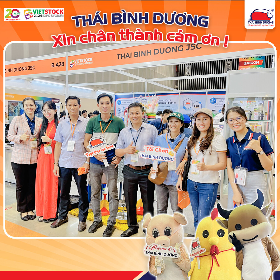 DV SX THÁI BÌNH DƯƠNG 4