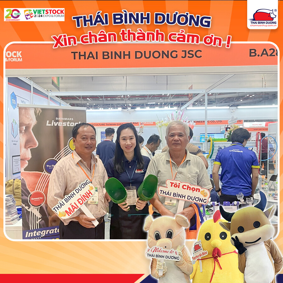 DV SX THÁI BÌNH DƯƠNG 5