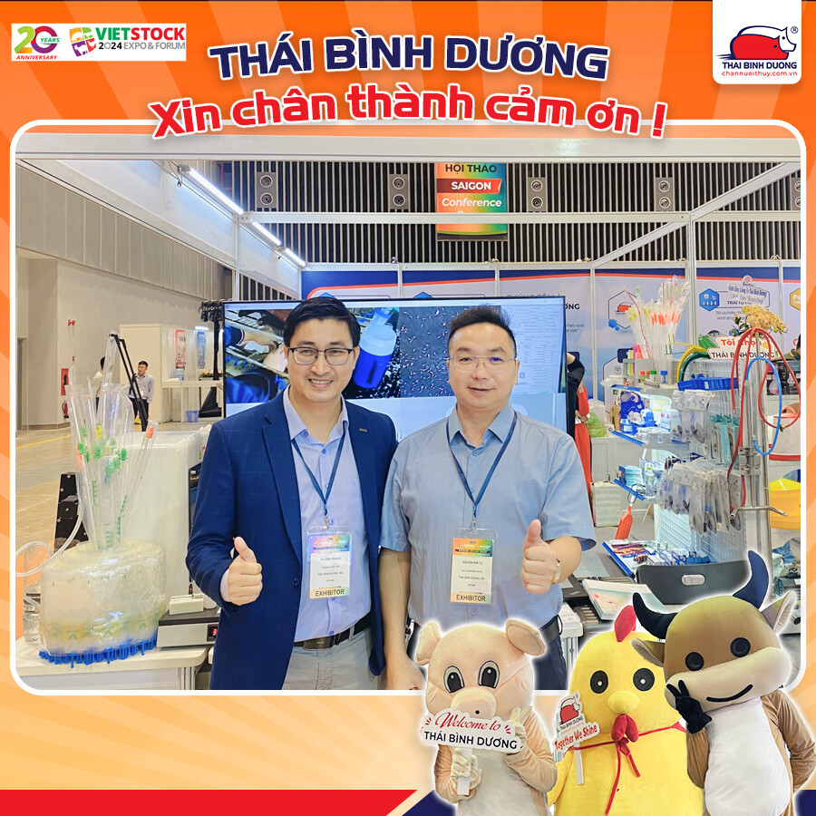 DV SX THÁI BÌNH DƯƠNG 7