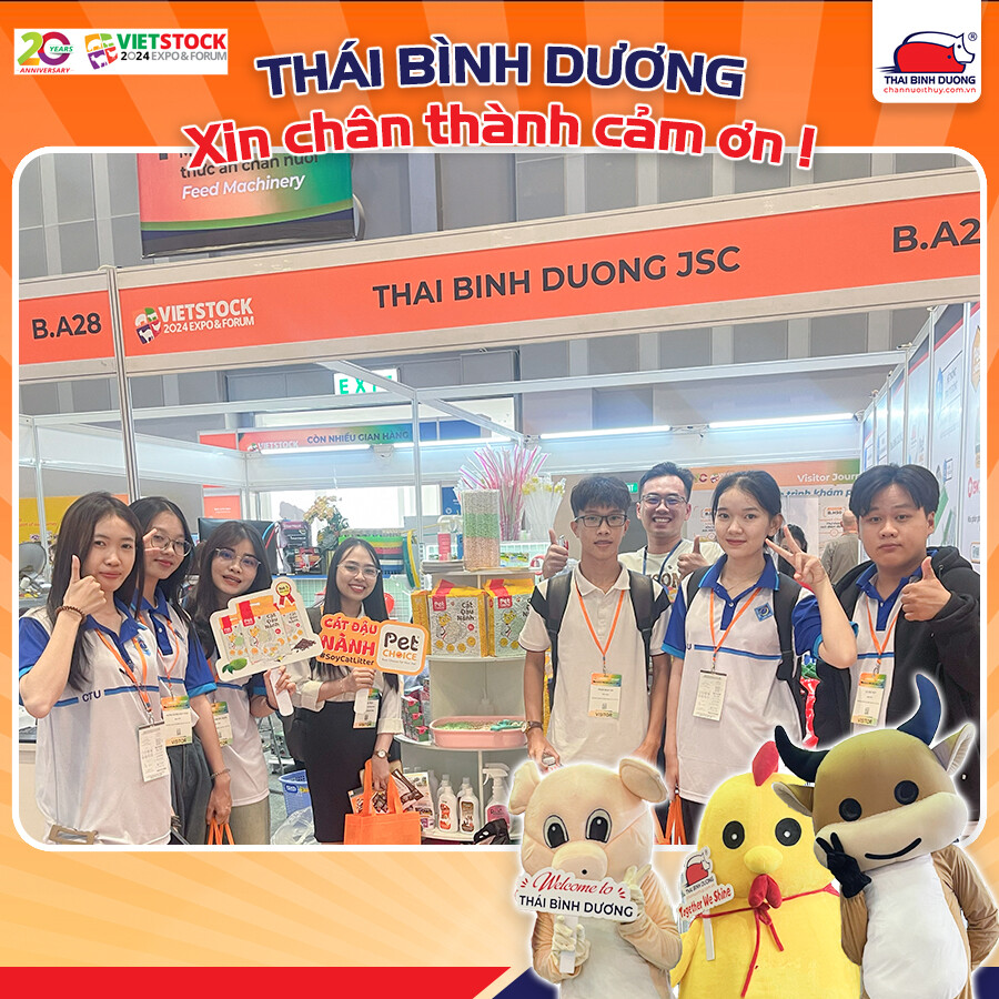 DV SX THÁI BÌNH DƯƠNG 2