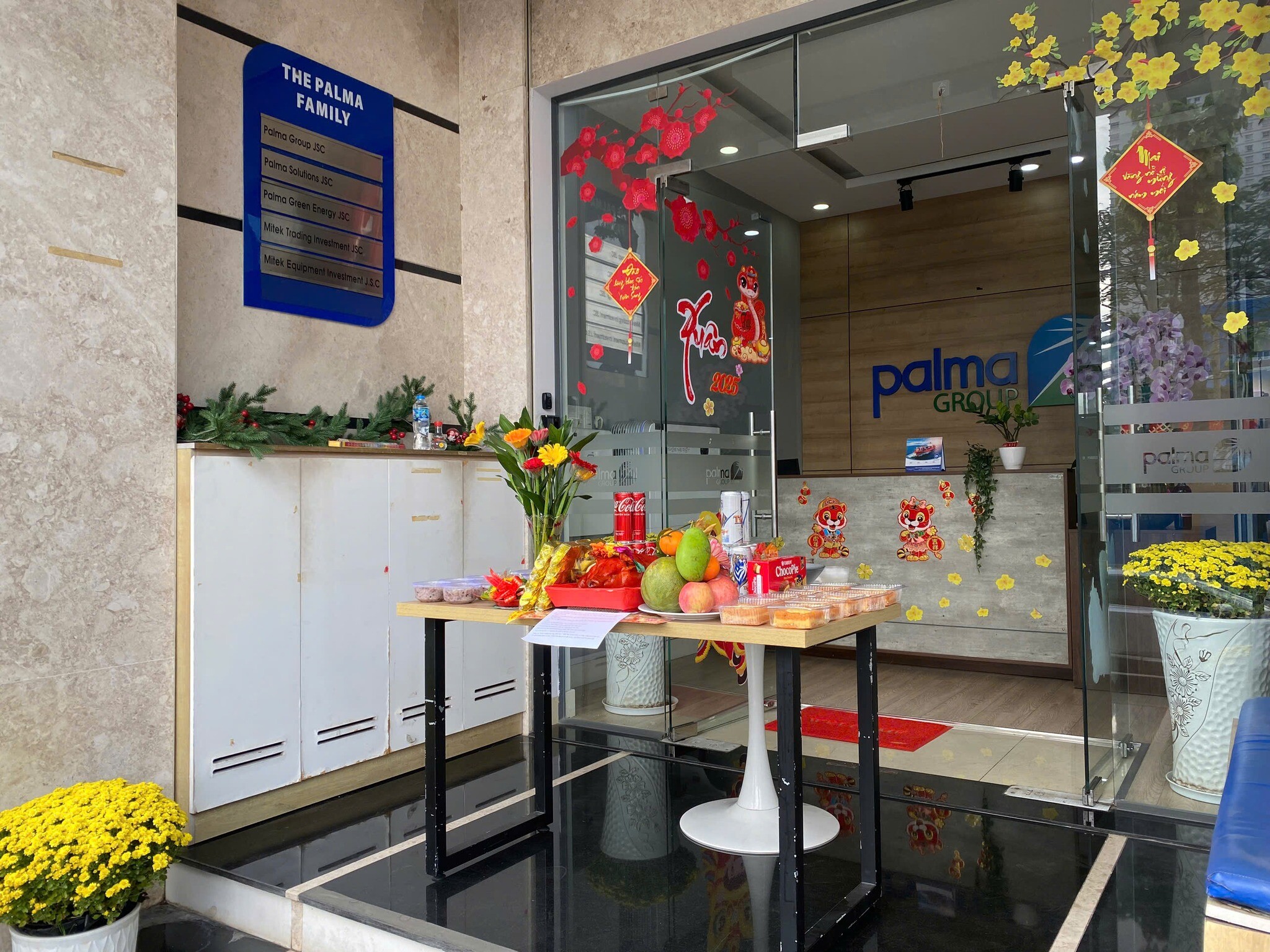 Giải Pháp Palma 12