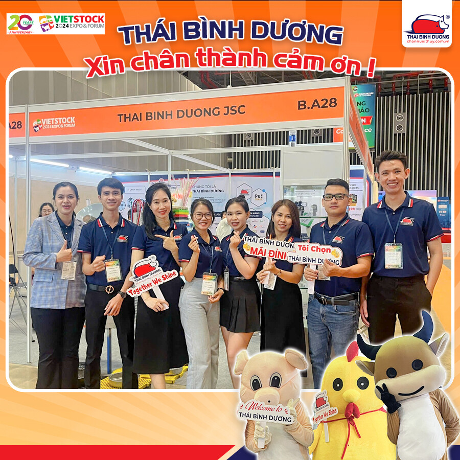 DV SX THÁI BÌNH DƯƠNG 10