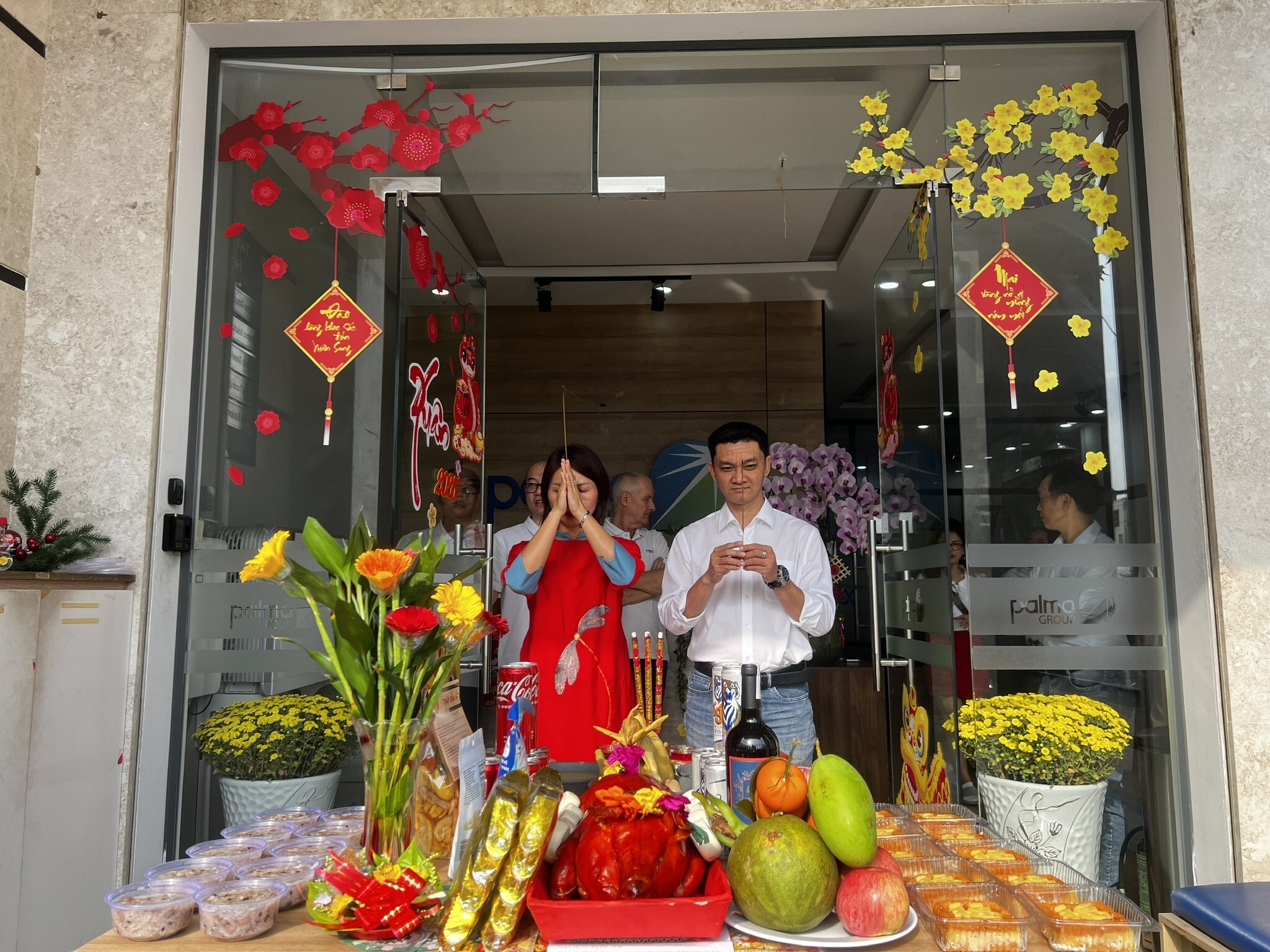 Giải Pháp Palma 7