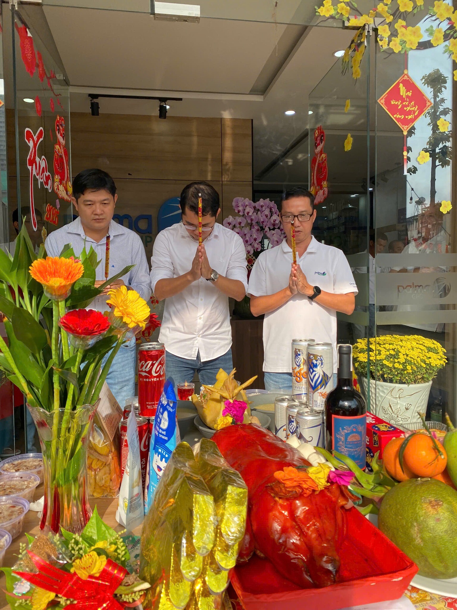 Giải Pháp Palma 13