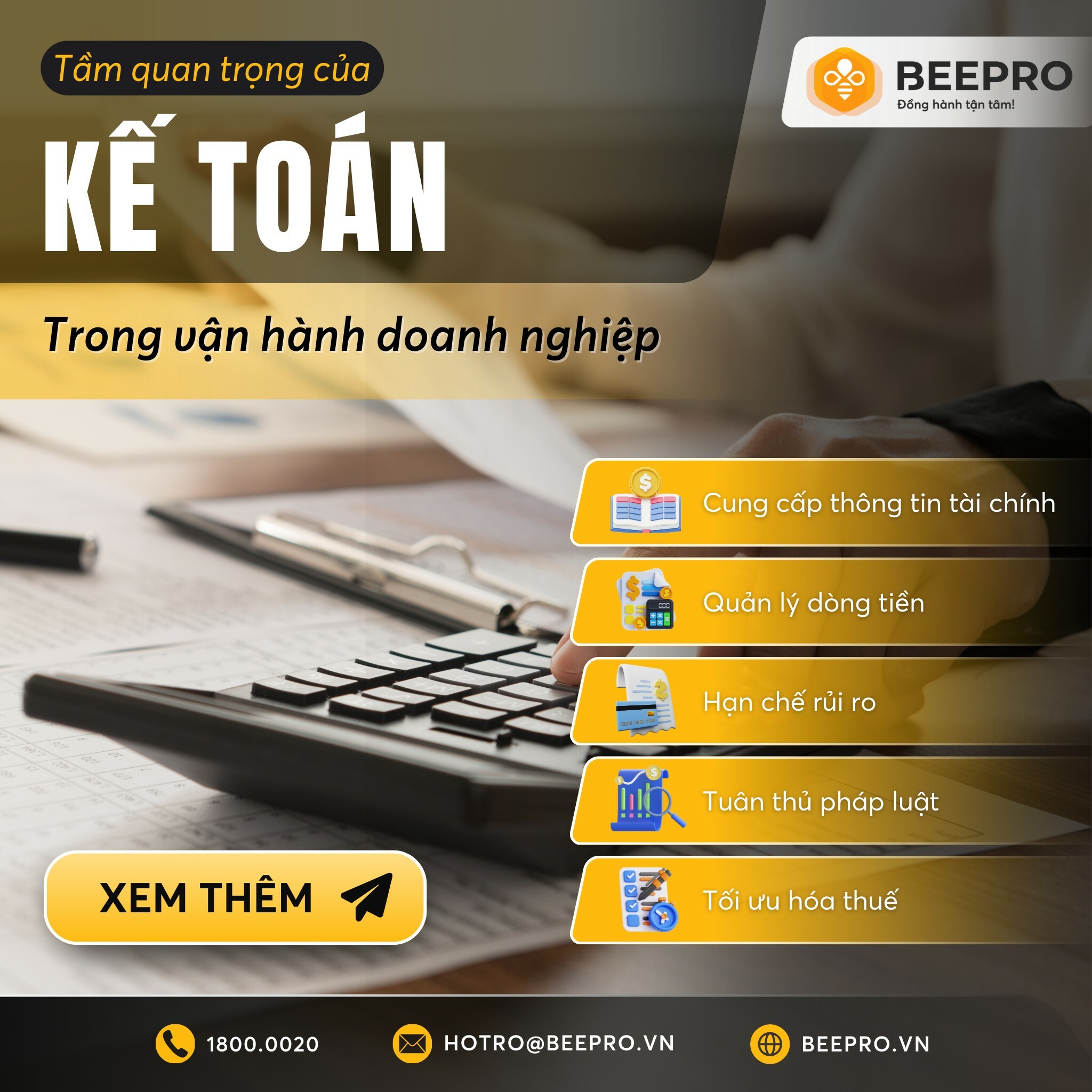 DỊCH VỤ KẾ TOÁN QUỐC TẾ BEE PRO 2